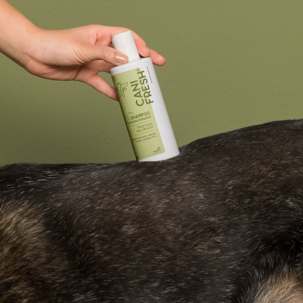Shampoo & Acondicionador